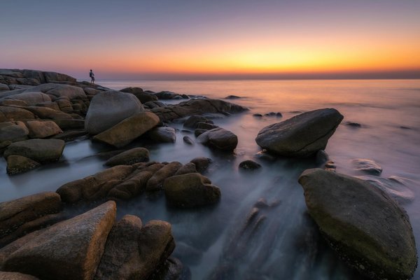 Comment choisir une croisière qui propose des visites des réserves naturelles en Australie?